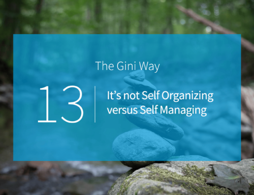 It’s Not Self Organizing versus Self Managing